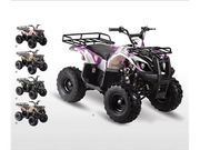YOUTH SIZED ATVS WITH REVERSE AND REMOTE 125CC